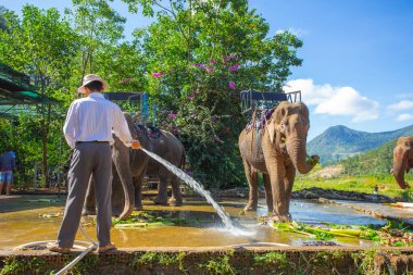 Filler Dalat uzak olmayan çiftlik. Vietnam