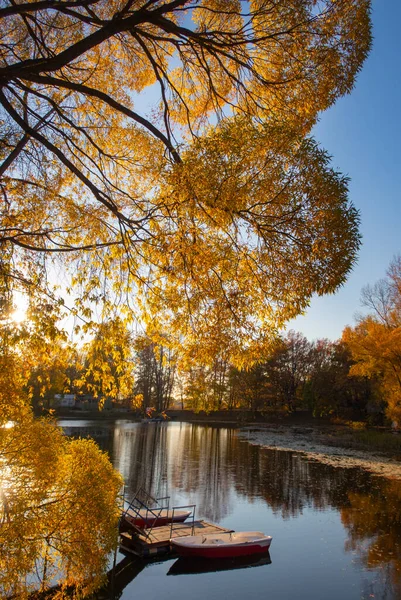 Gün Batımında Göl Kenarında Sonbahar Ağaçları — Stok fotoğraf
