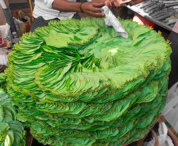 Hojas Betel Pan Masala Mercado Goa Fotos de stock libres de derechos