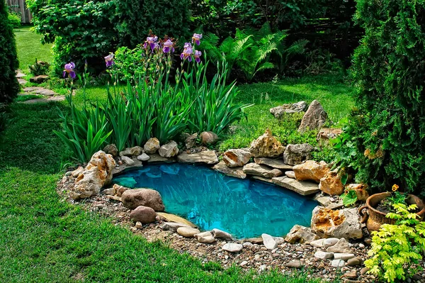Kleiner Teich Einem Sommertag Garten — Stockfoto