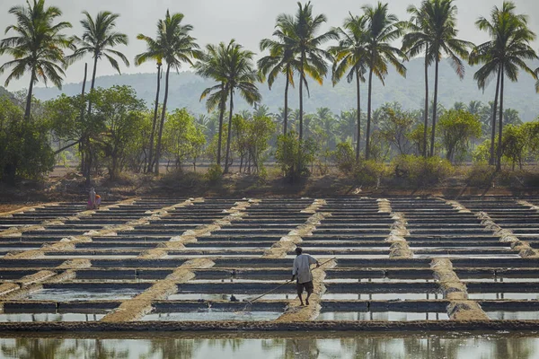 Indien Goa März 2017 Salzproduktion Auf Einem Bauernhof Indien — Stockfoto