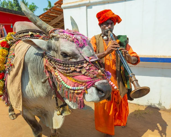 India Goa Maart 2017 Muzikanten Met Een Getrainde Stier Markt Rechtenvrije Stockfoto's