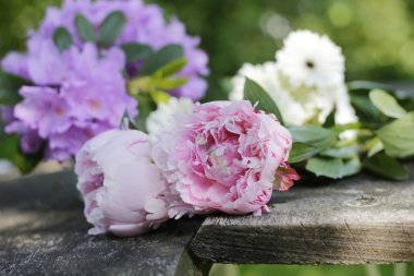 Peonies ve ahşap plakalar üzerinde bahçe çiçekleri