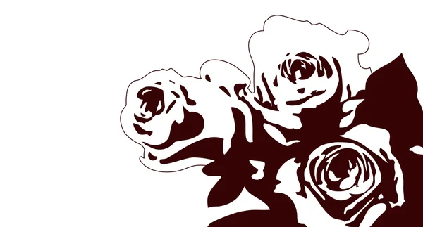 Roses dessin sur fond blanc — Photo