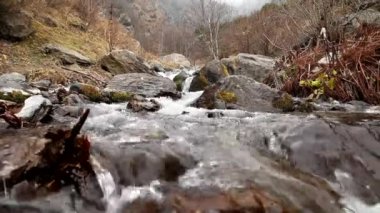 Mountain river rapids in autumn