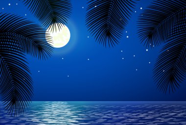 ay ve palmiye ağaçları ile deniz manzara.