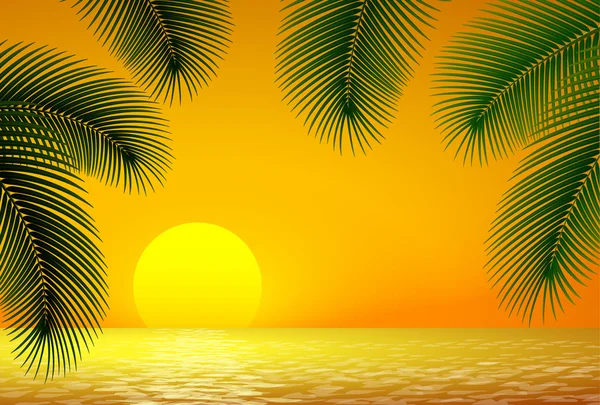 Slunce, moře a palmy větev. — Stockový vektor
