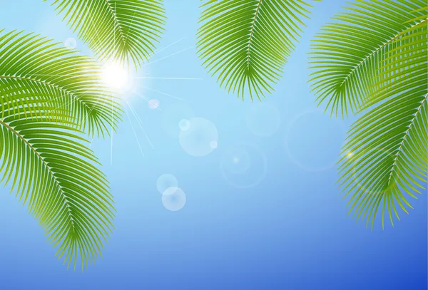 Sunny blue sky and palm branches. — Stock Vector