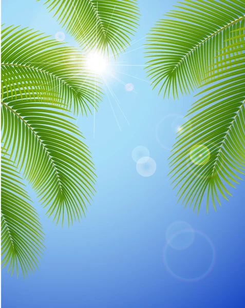 Sunny modré oblohy a palm větve. — Stockový vektor