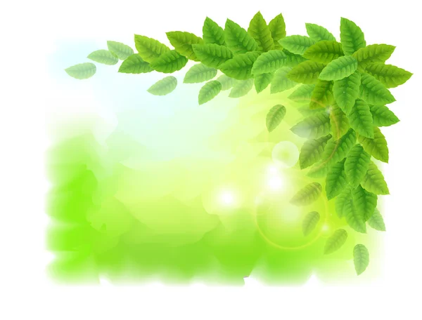 Zonnige achtergrond met groene bladeren — Stockvector