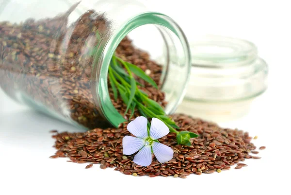 Flax seeds and flowers. — Stock Photo, Image