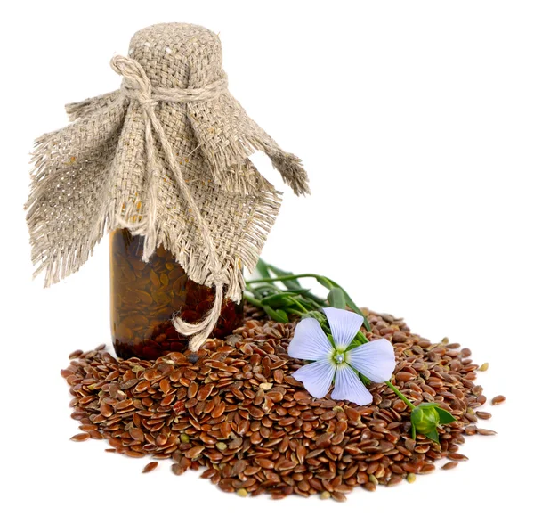 Flax seeds and flowers. — Stock Photo, Image
