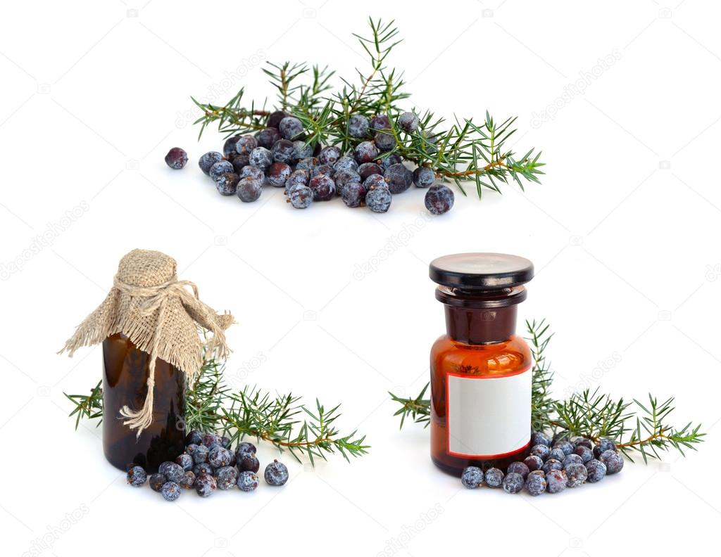Juniper branch and berries with pharmaceutical bottles.