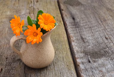 Calendula çiçek kurulları.