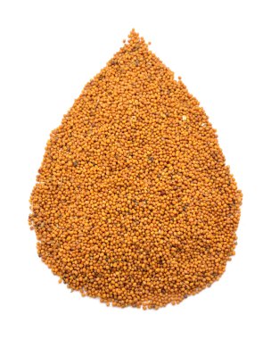 Hardal tohumu için açılan formu doldurulur