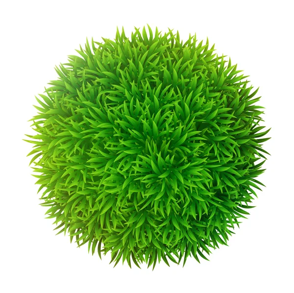 Grassy sphere — Stock Vector