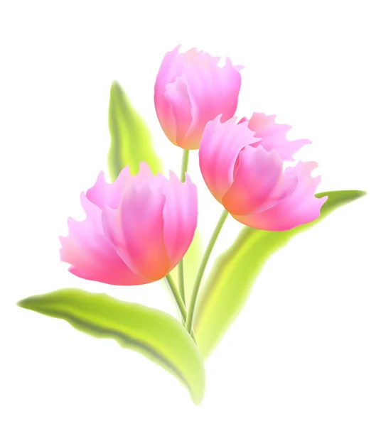 Boeket tulpen geïsoleerd. — Stockvector