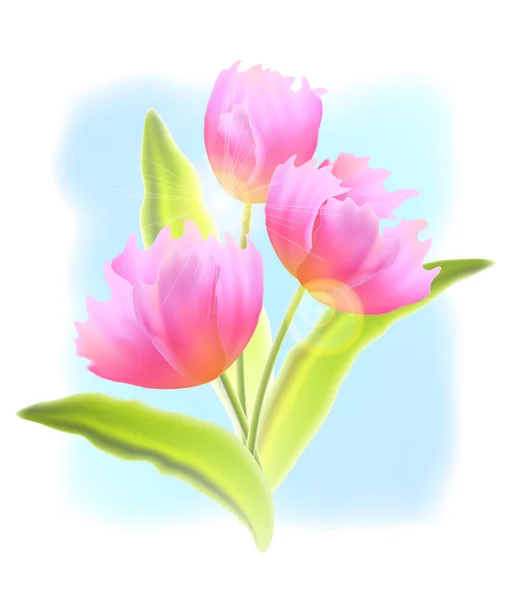 チューリップの花束 — ストックベクタ
