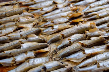 fırında capelin.