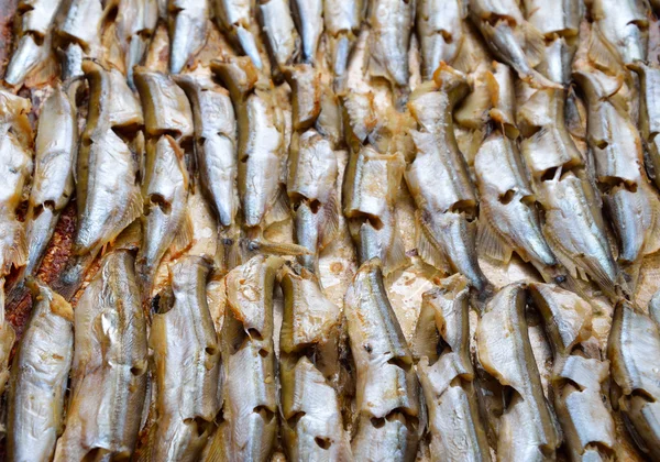 Baked capelin. — Stock Photo, Image