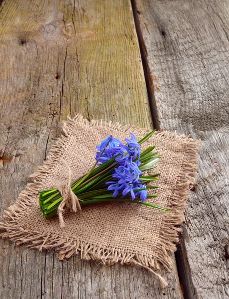 Boeket van scilla op houten bord. — Stockfoto