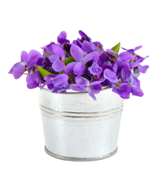 Pequeno buquê com flores de prado em um balde . — Fotografia de Stock