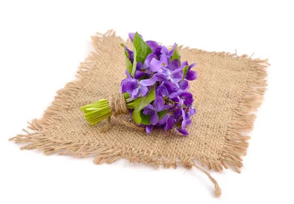 Pequeño ramo con violetas de prado . — Foto de Stock