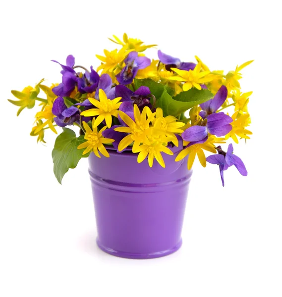 Malá kytice s luční květy v kbelíku. — Stock fotografie