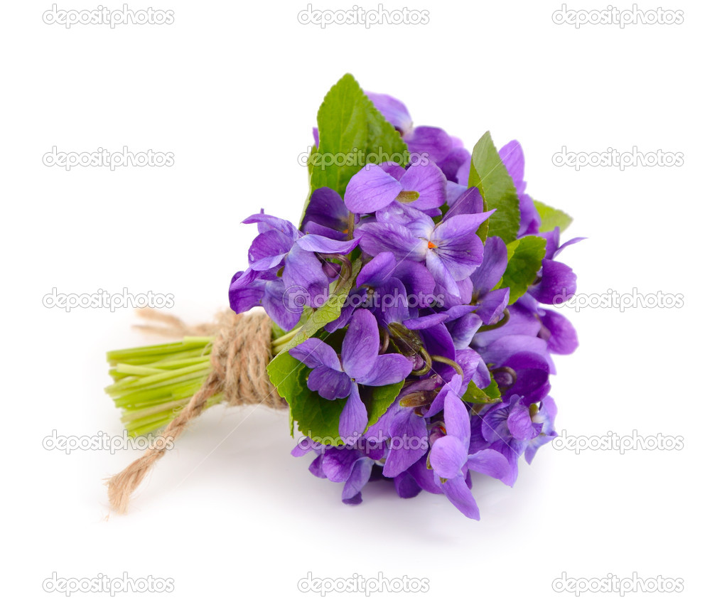 Small bouquet with meadow violets.