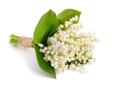 Bouquet of lilies of the valley. clipart