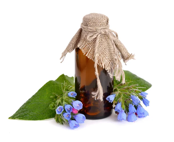 Symphytum (comfrey) com frasco farmacêutico — Fotografia de Stock