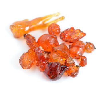 Kayısı ağacı doğal sakız.