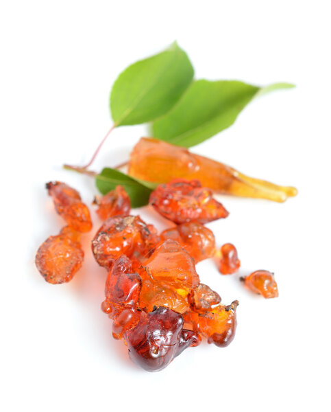 Жвачка из абрикоса
.