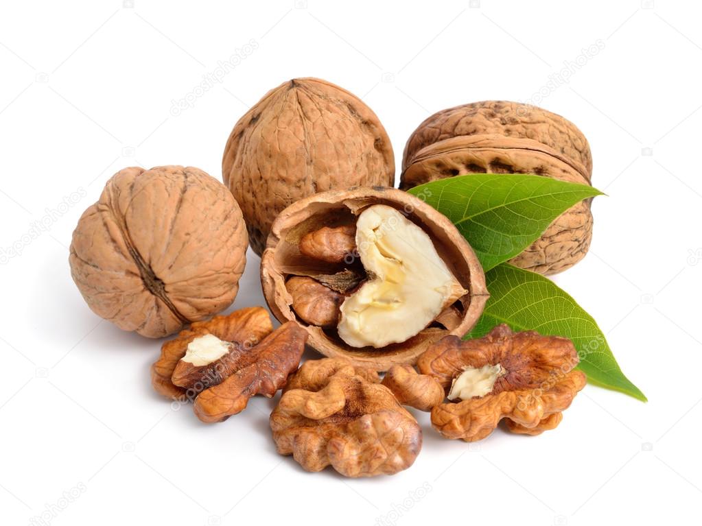 Walnut isolated in white background.