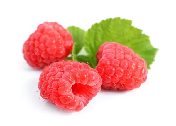 Raspberry isolated on white background. — Stock Photo, Image
