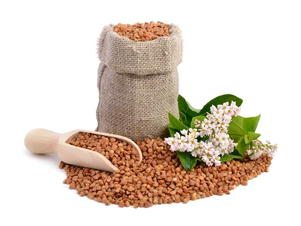 Bolso de trigo sarraceno y flores aisladas . — Foto de Stock