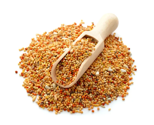 Mistura de grãos para Budgerigar — Fotografia de Stock