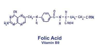 Folik asit kimyasal yapısı. Vektör illüstrasyonu El çizimi
