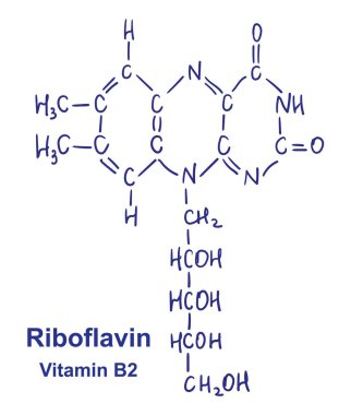 Riboflavin kimyasal yapısı. Vektör illüstrasyonu El çizimi