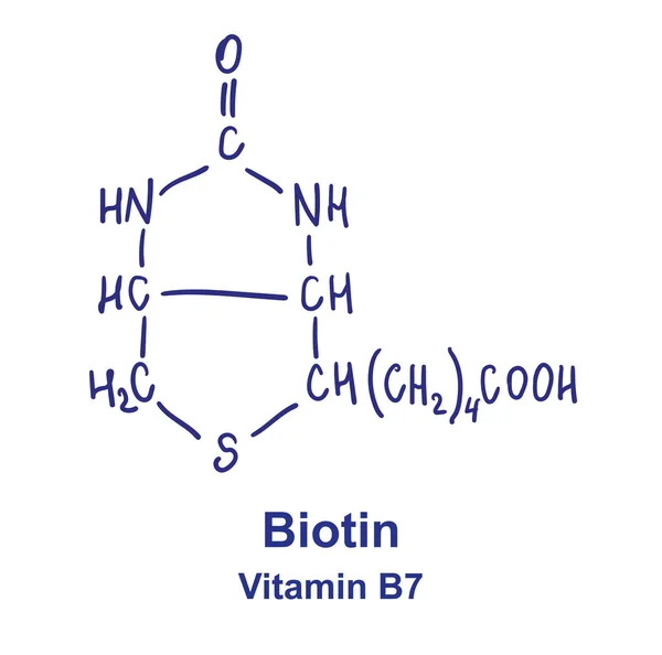 Estrutura química da biotina. Ilustração vetorial Desenho à mão. — Vetor de Stock