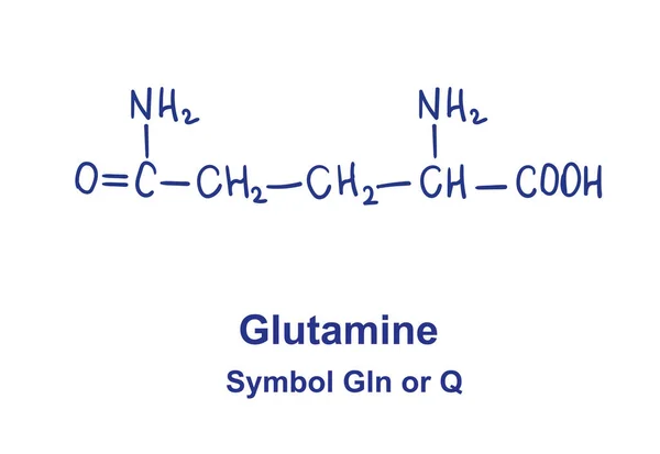Kemisk struktur av glutamin. Vektorillustration Handritad — Stock vektor