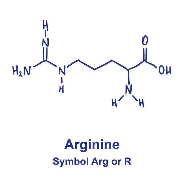 Estrutura química da arginina. Ilustração vetorial Desenho à mão — Vetor de Stock