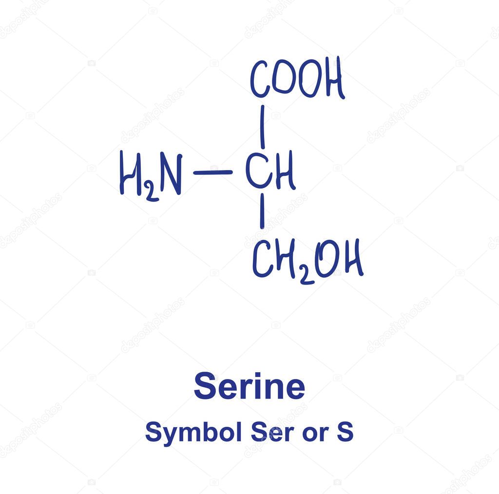 Serine chemical structure. Vector illustration Hand drawn