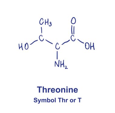 Threonine kimyasal yapısı. Vektör illüstrasyonu El çizimi
