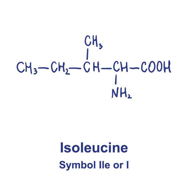 Estrutura química da isoleucina. Ilustração vetorial Desenho à mão — Vetor de Stock