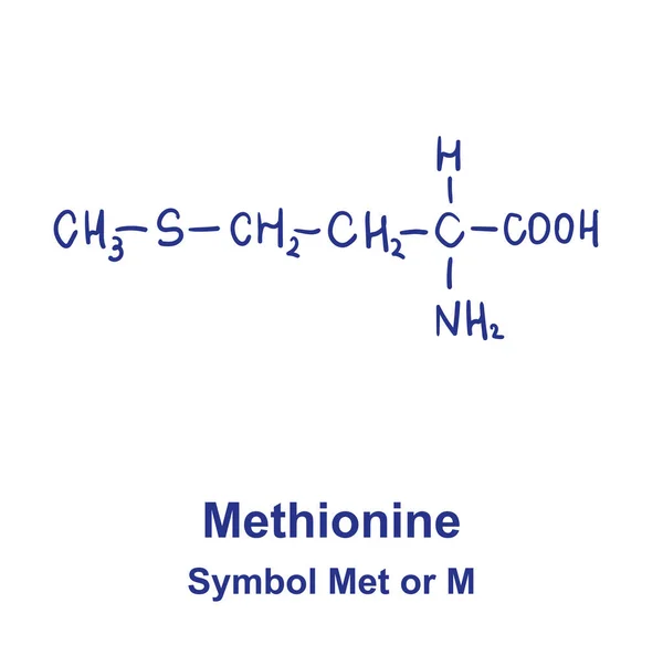 Metioninets kemiska struktur. Vektorillustration Handritad — Stock vektor