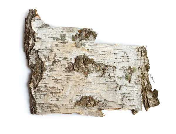 白樺の樹皮の作品の正面側 白地に隔離された — ストック写真