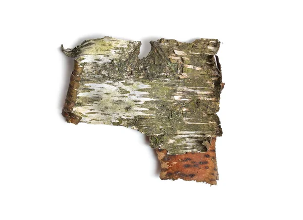 アスペンの樹皮の一部の正面側 白地に隔離された — ストック写真