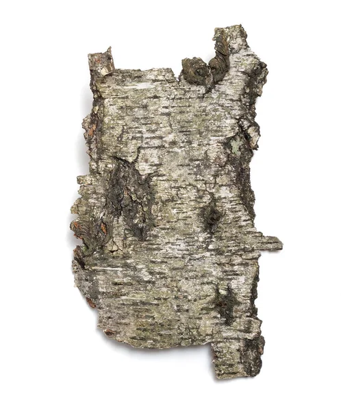 Front Sides Piece Aspen Bark Isolated White Background — Stock Photo, Image