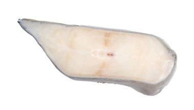 Donmuş kazık kurt ya da kurt hissi, deniz kurtları olarak da bilinir. Beyaz arkaplanda izole.